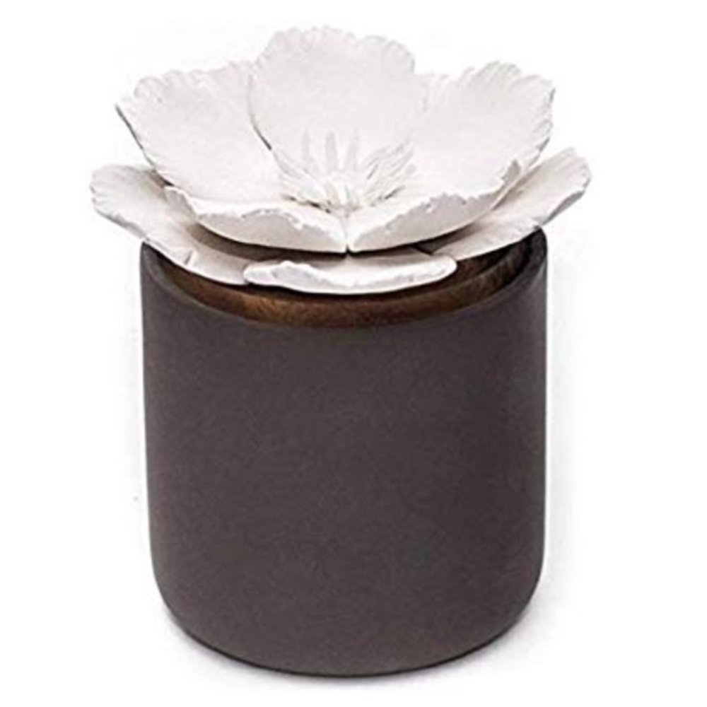 Brand New - Wick Essential Oil Diffuser with Oils!